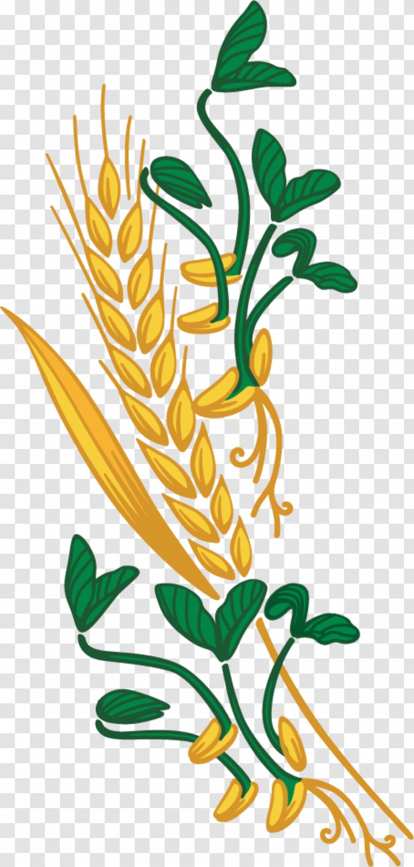 Common Wheat Cereal Whole Bread Grain Clip Art - Harvest Transparent PNG