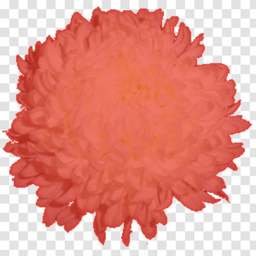Petal Flower Chrysanthemum Peach Football - Red - Commercial Use Transparent PNG