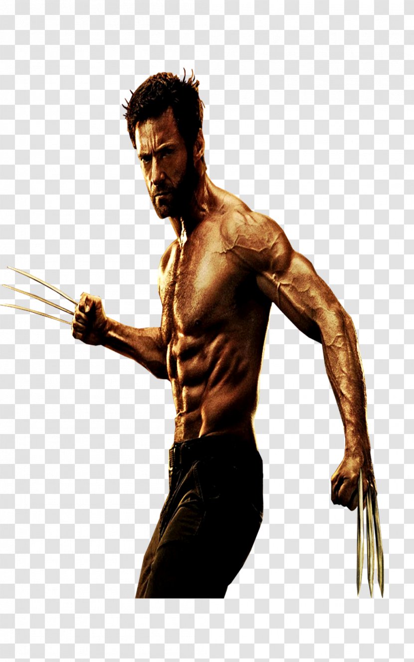 Wolverine X-Men DeviantArt - Frame Transparent PNG