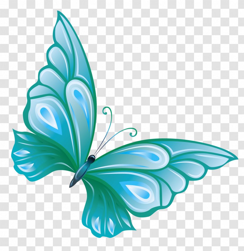 Butterfly Clip Art - Aqua - Free Cliparts Butterflies Transparent PNG