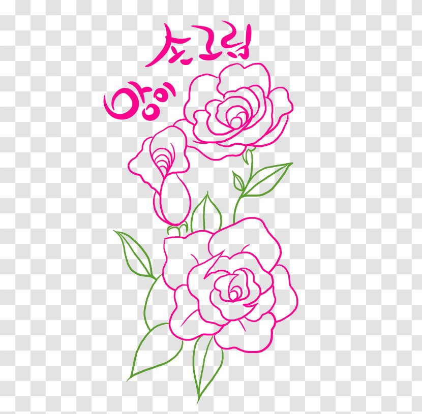 Floral Design Garden Roses Illustration /m/02csf - Plants - Flower Petals Transparent PNG