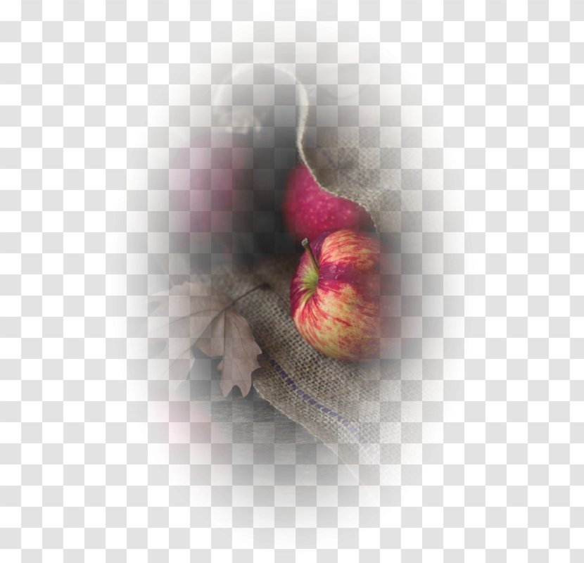 Autumn Landscape Painting Desktop Wallpaper - Magenta Transparent PNG