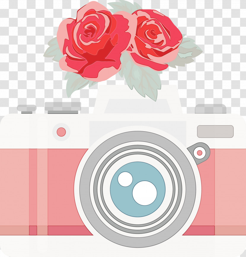 Garden Roses Transparent PNG