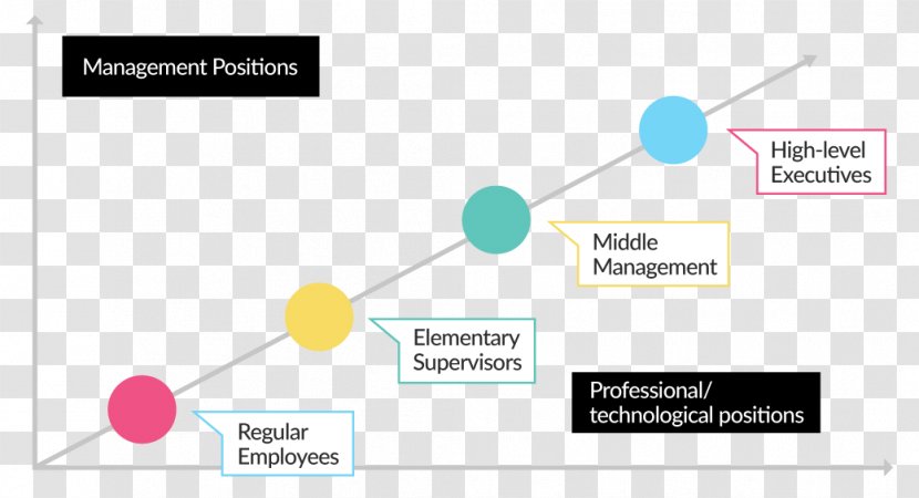 Organization Human Resource Training Profession Laborer - Afacere - Career Development Transparent PNG