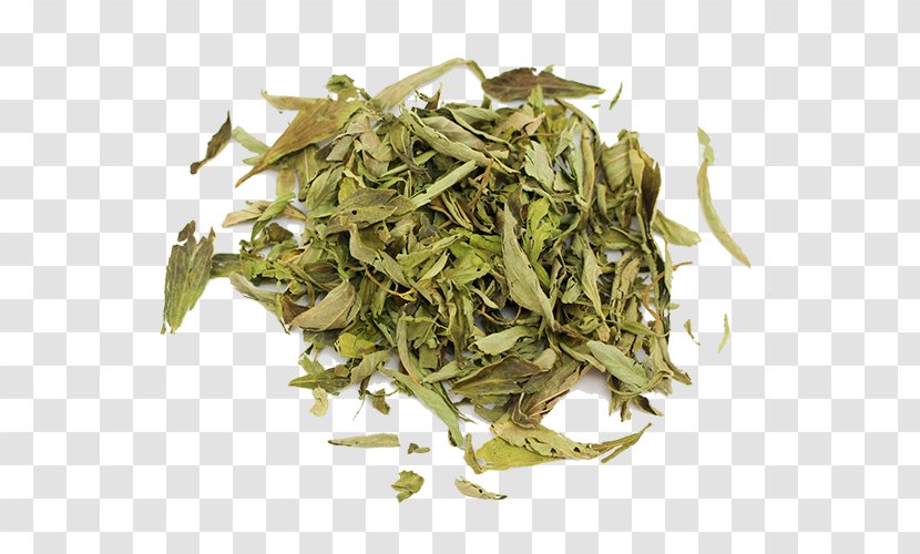 Hōjicha Nilgiri Tea Bancha Sencha Gyokuro - Green - Stevia Transparent PNG