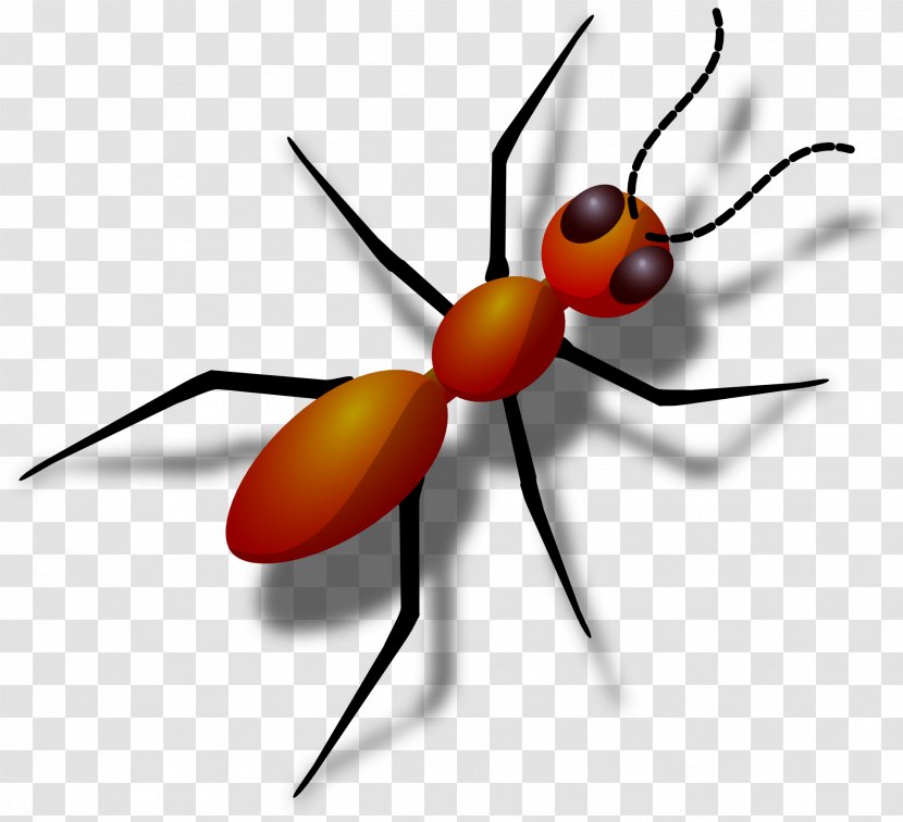 Ant Clip Art - Pest - Organism Transparent PNG
