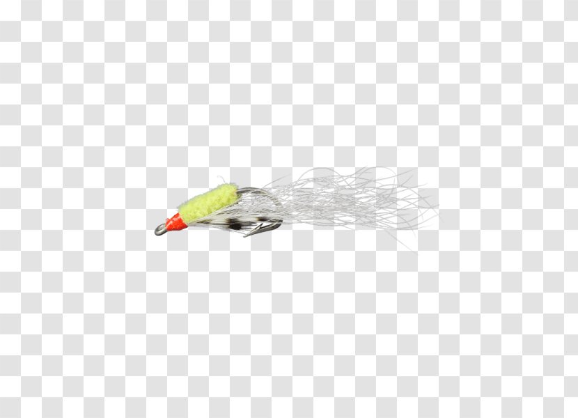 Beak Feather - Bird Transparent PNG