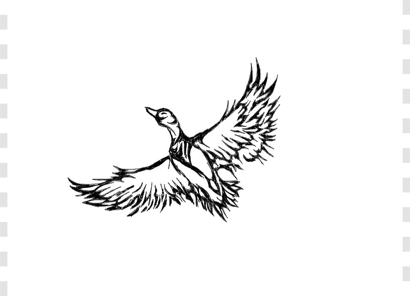 Duck Tattoo Artist Goose Clip Art - Ducks Geese And Swans - Catfish Designs Transparent PNG