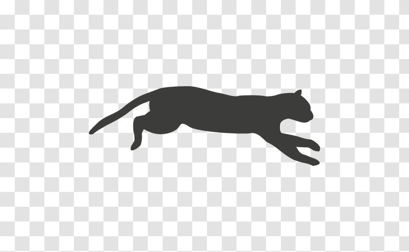 Cat Animation Artist - Like Mammal - Sequence Vector Transparent PNG