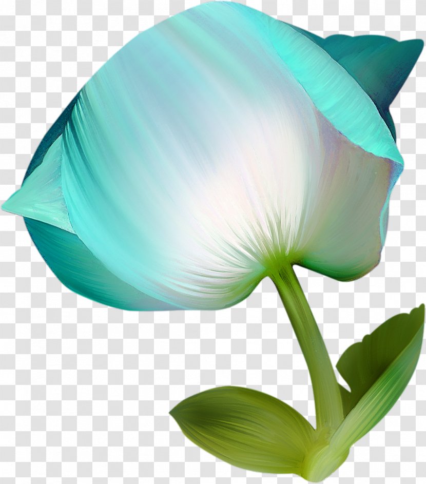 Flower Vecteur - Cut Flowers - Blue Transparent PNG