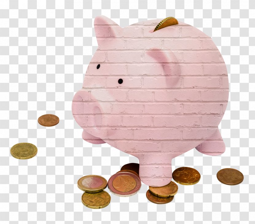 Piggy Bank Money Saving Finance - Payment Transparent PNG