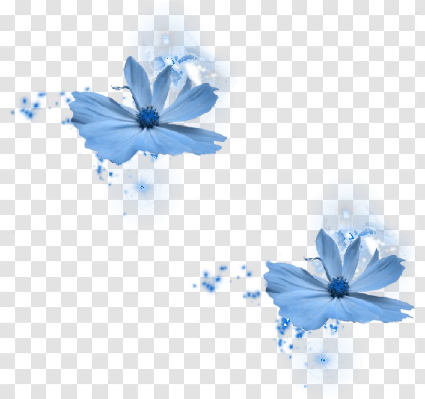 Blue Rose Flower - Moths And Butterflies Transparent PNG