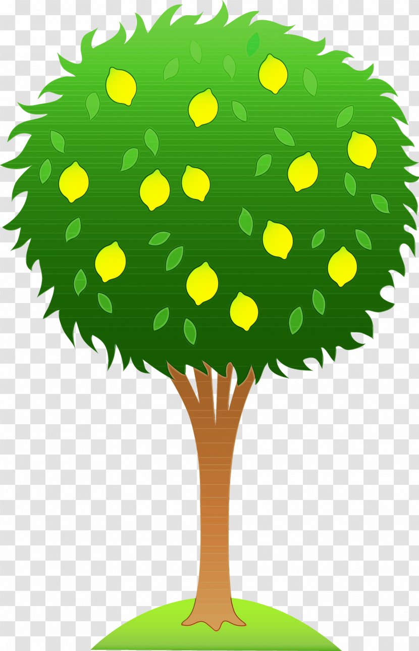 Watercolor Tree - Plant Green Transparent PNG
