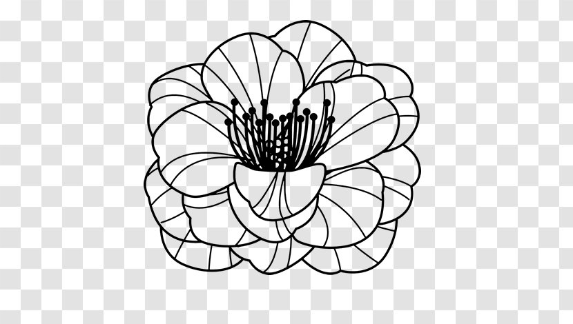 Common Poppy Coloring Book Flower Drawing - Symmetry Transparent PNG