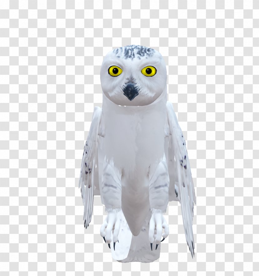 Owl Bird Clip Art - Blog - Animal Watercolor Transparent PNG