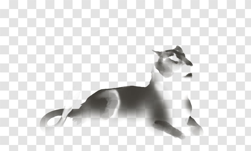 Whiskers Kitten Lion Snout Dog - Cat Transparent PNG
