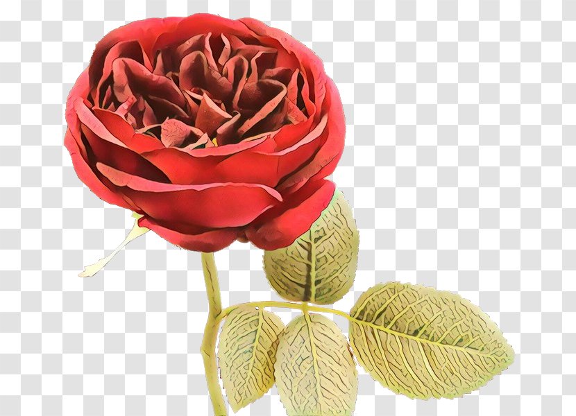 Flowers Background - Textile - Artificial Flower Rose Order Transparent PNG