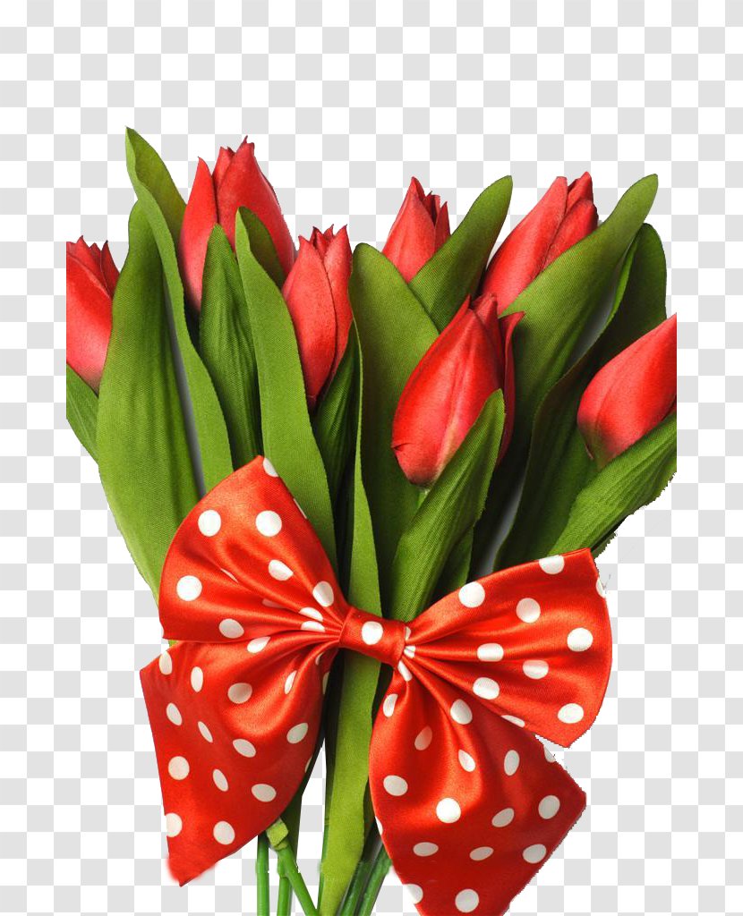Indira Gandhi Memorial Tulip Garden Flower Bouquet - Floristry - Creative Valentine's Day Tulips Flowers Transparent PNG
