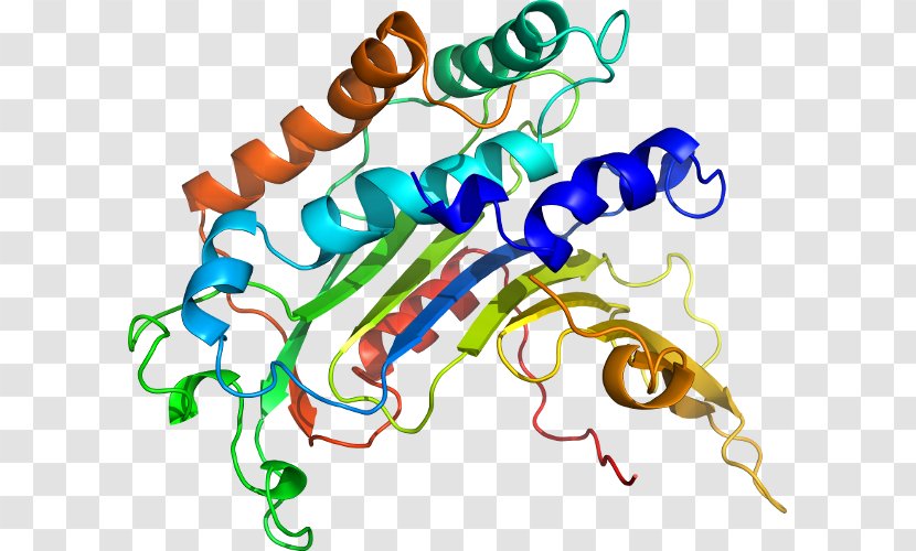 Clip Art Organism Line Body Jewellery - Special Olympics Area M - Glucose6phosphate Dehydrogenase Deficiency Transparent PNG