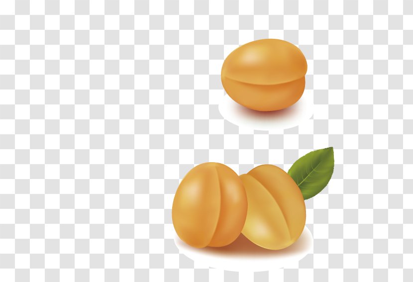 Apricot - Eating - Delicious Apricots Transparent PNG