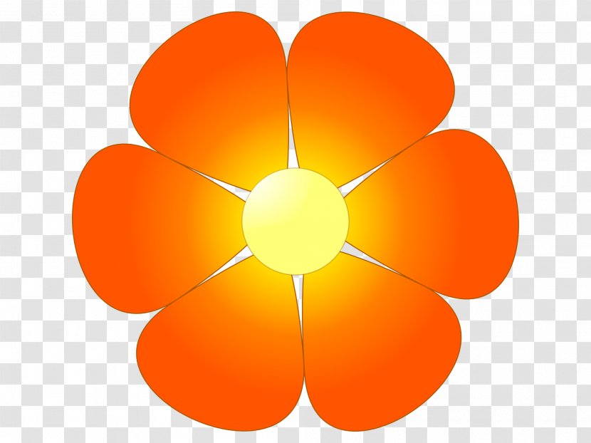 Flower Orange Blossom Clip Art Transparent PNG