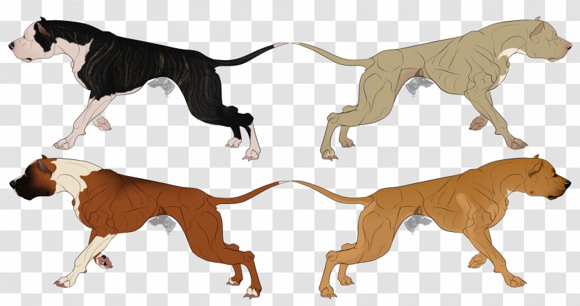 Dog Breed American Bully Pit Bull Terrier - Fauna - Organism Transparent PNG