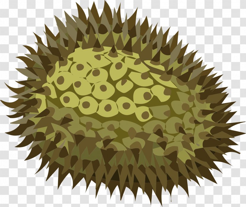 Durio Zibethinus Fruit Clip Art - Organism - Durian Transparent PNG