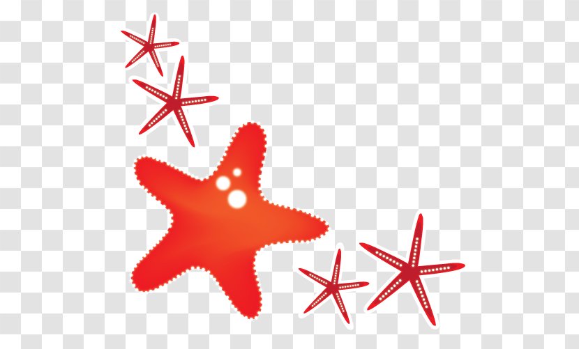 Starfish Red Clip Art - Point - Vector Transparent PNG