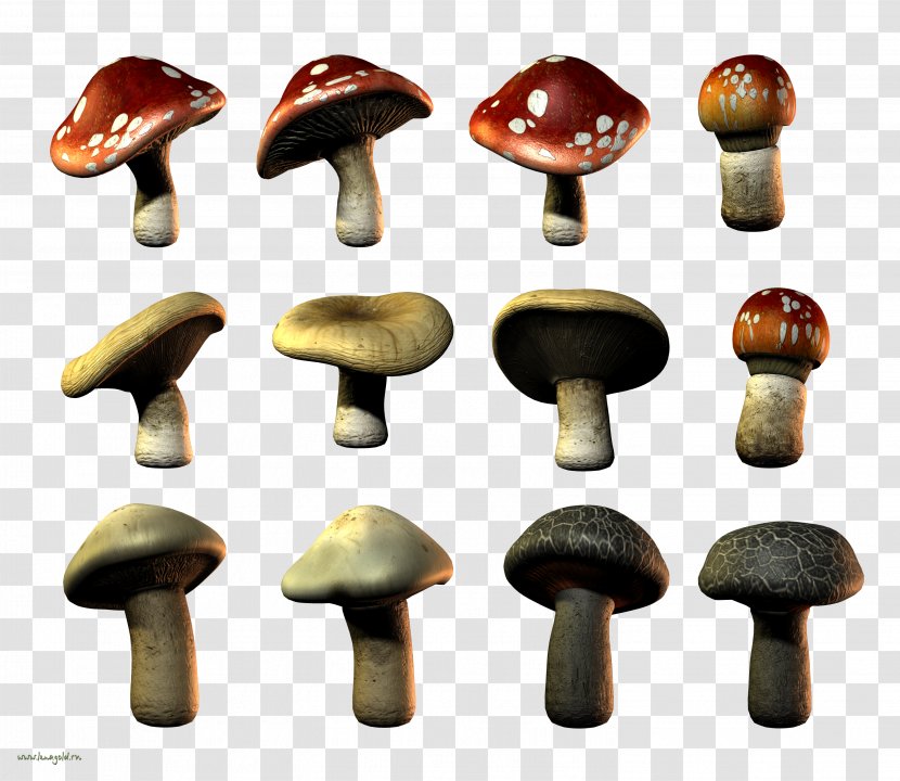 Edible Mushroom - Ingredient - Design Transparent PNG