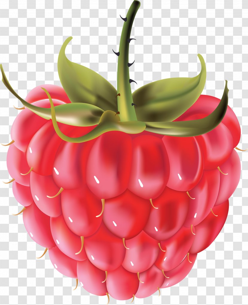 Raspberry Clip Art - Produce - Rraspberry Image Transparent PNG