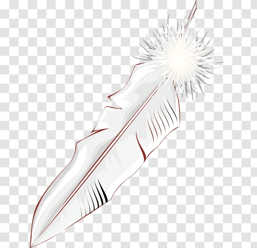 Bird White Feather Wing - Resource Transparent PNG