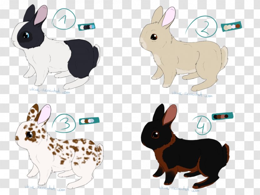 Domestic Rabbit Dog Hare Animal - 20 Points Transparent PNG