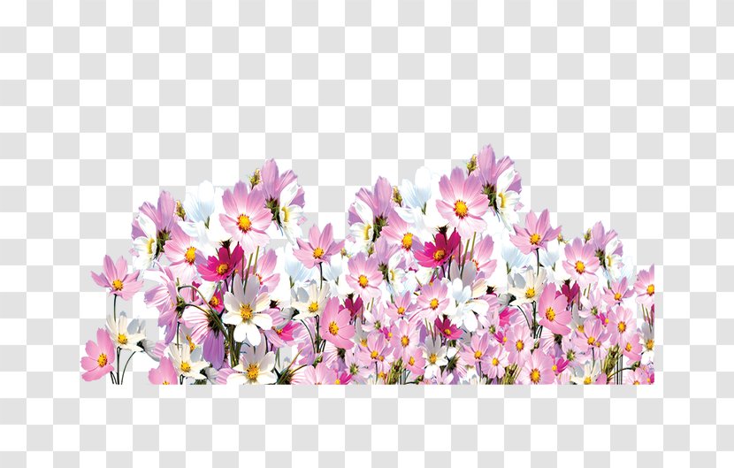 Floral Design Cut Flowers Spring - Florets Elements Transparent PNG