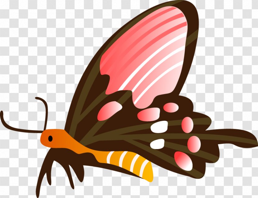Butterfly Vector Graphics Illustration Drawing - Wing Transparent PNG