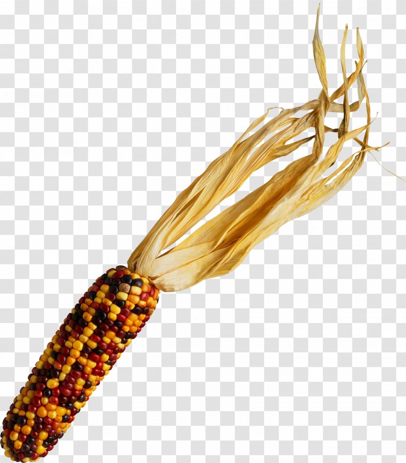 Waxy Corn On The Cob Photography Clip Art - Getty Images Transparent PNG