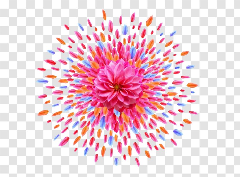 Flower Petal Car Phone - Symmetry - Color Shape Spell Fireworks Transparent PNG