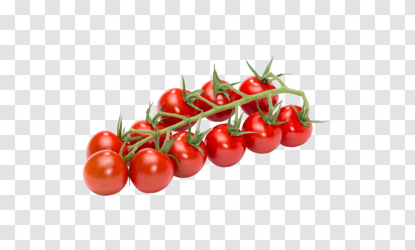 Plum Tomato Vegetable Campari Cherry Bush - Vegetarian Cuisine - Tomatoes Transparent PNG