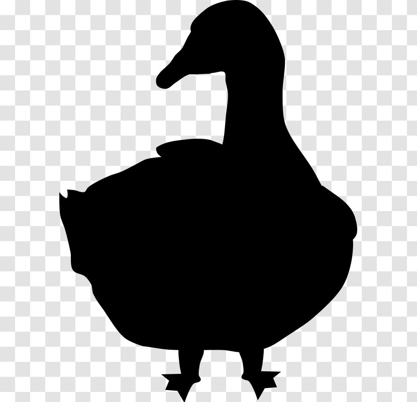 Goose Silhouette Bird Image - Water - Beak Transparent PNG