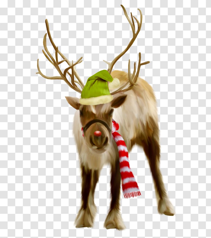 Reindeer Clip Art - Christmas Transparent PNG