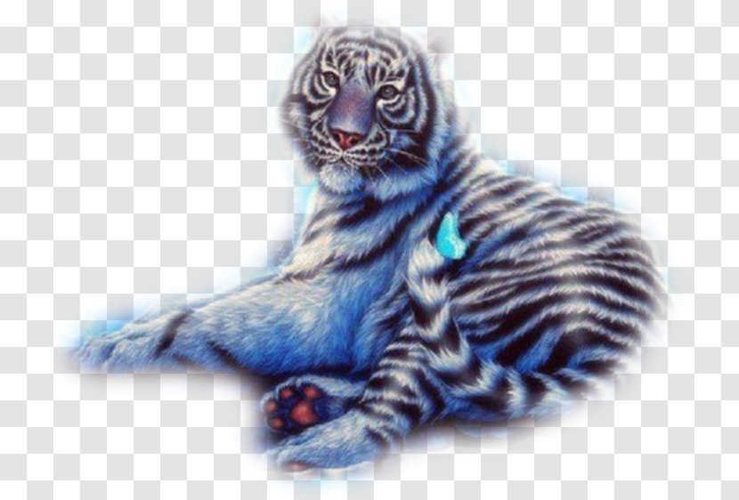 Baby Tigers Felidae Cat Lion - Fur - Tiger Transparent PNG