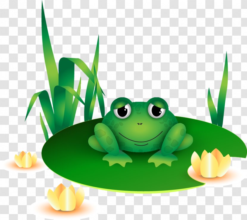 True Frog Tree Toad - Organism - Vector Transparent PNG