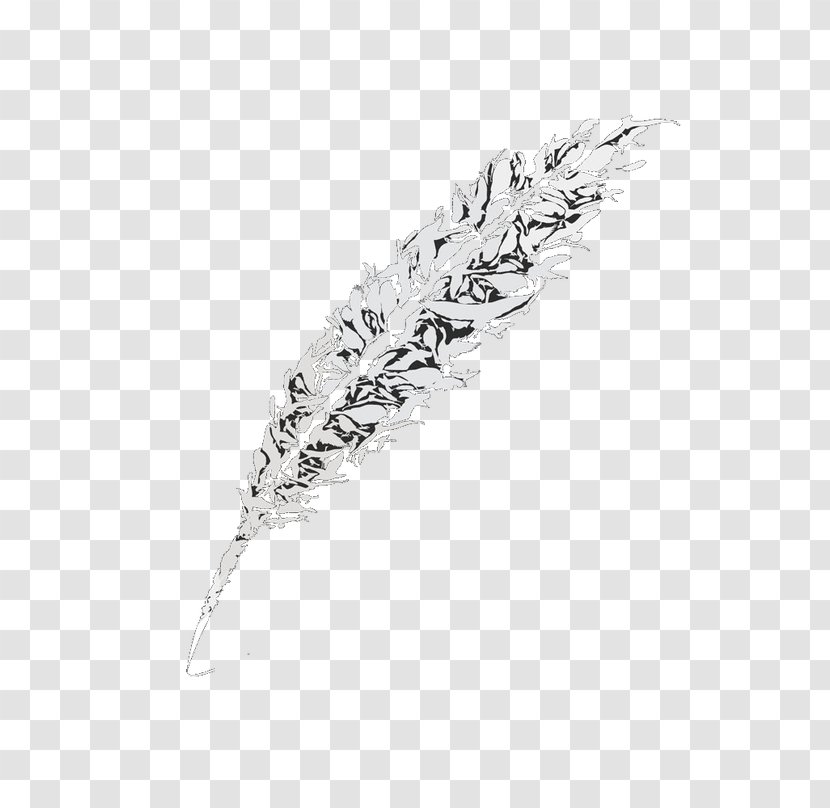White Black Feather Pattern - Material Transparent PNG