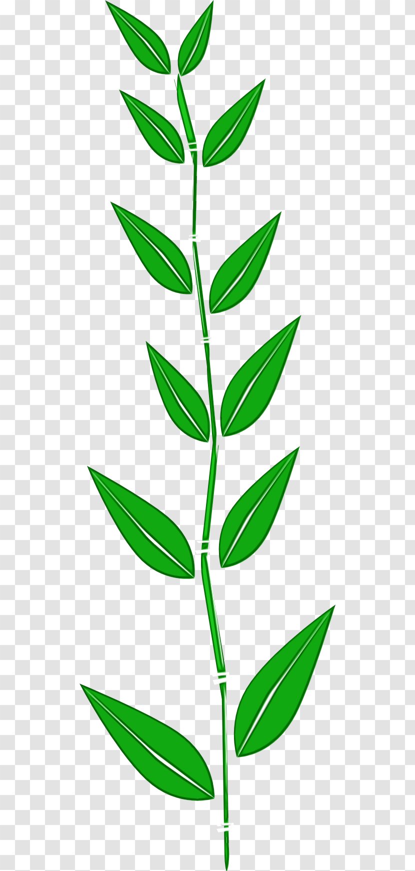 Green Grass Background - Tree - Pedicel Plant Transparent PNG