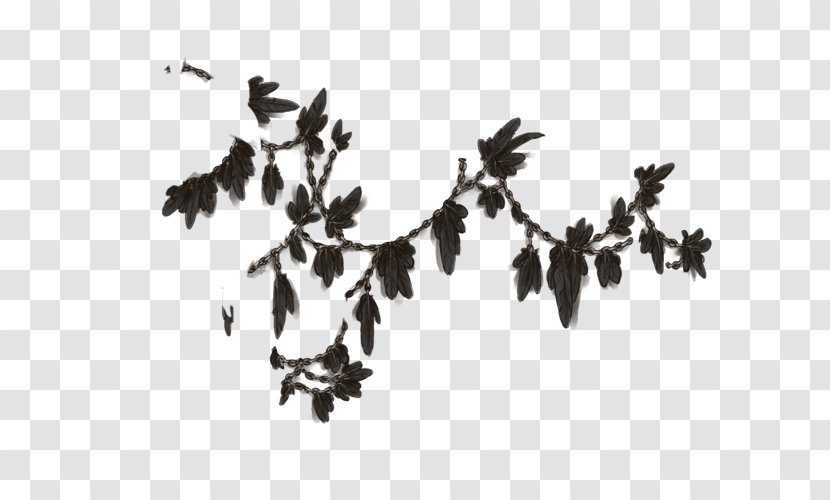 Font Leaf - Black And White - Feathers Transparent PNG