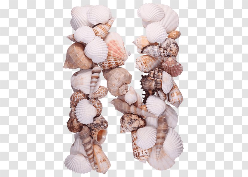 Seashell Letter Conchology Sea Glass Beach Transparent PNG