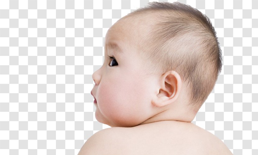Infant Photography Royalty-free - Jaw - A Baby Turned Round Transparent PNG