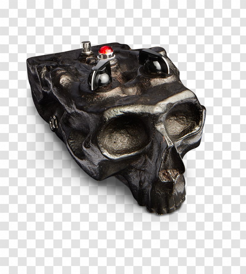 Skull - Bone Transparent PNG