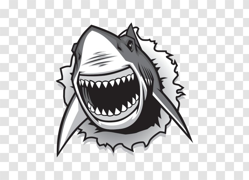 Great White Shark Drawing Vector Graphics Clip Art - Fish Transparent PNG