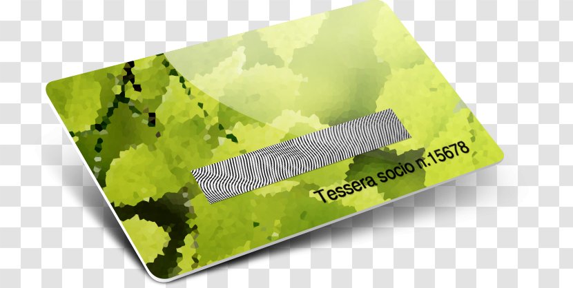 Brand Rectangle - Green - Scratch Card Transparent PNG