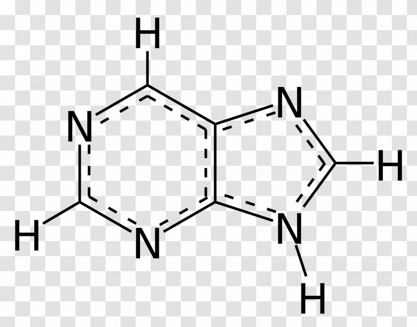 Purine Adenine Chemical Compound - Flower - Frame Transparent PNG